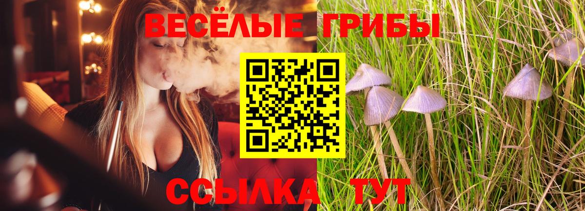 Карабулак  купить закладку  Вход с VPN  Псилоцибиновые грибы Psilocybe 